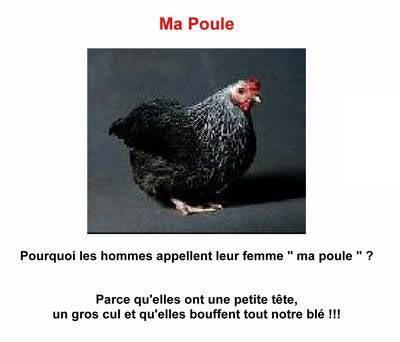 les femmes!!! lol
